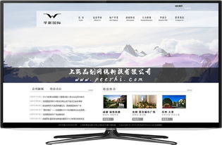 上海品劃網絡 專業松江網站建設與移動應用服務